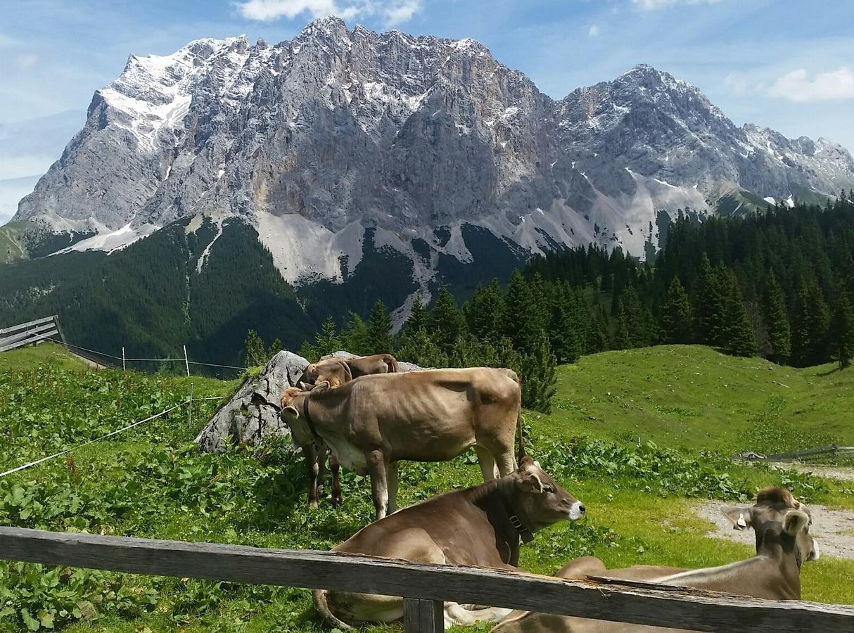 Das Halali - Dein Kleines Hotel An Der Zugspitze แอห์วัลด์ ภายนอก รูปภาพ