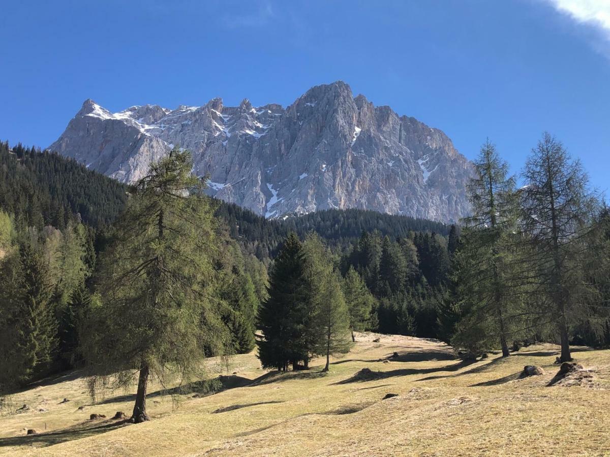 Das Halali - Dein Kleines Hotel An Der Zugspitze แอห์วัลด์ ภายนอก รูปภาพ